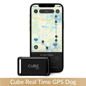 Cube Real-Time GPS Dog & Cat Tracker